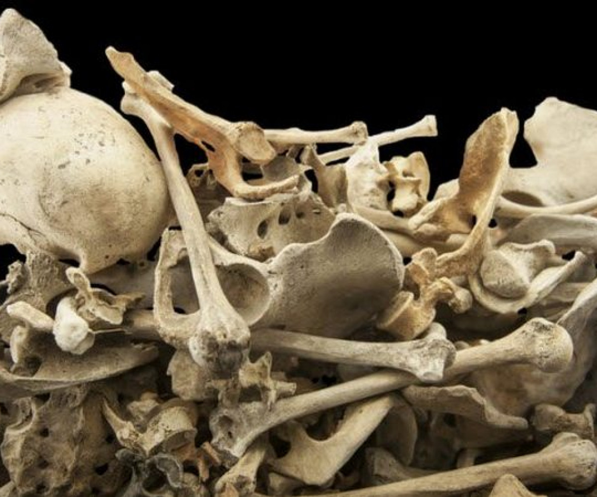 Голодные кости. Кости человека. Куча человеческих костей.